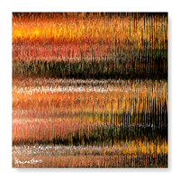 Navajo Blanketed | 23x23 Archival Pigment Print