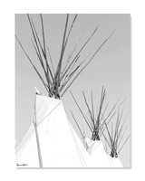 As The Crow Flys | 30x40 LE Print #4 of 10