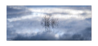 Morning Reflections