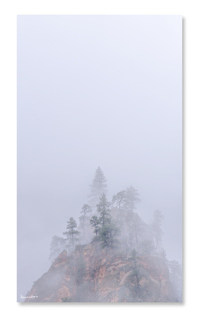 At Ease | SOLD